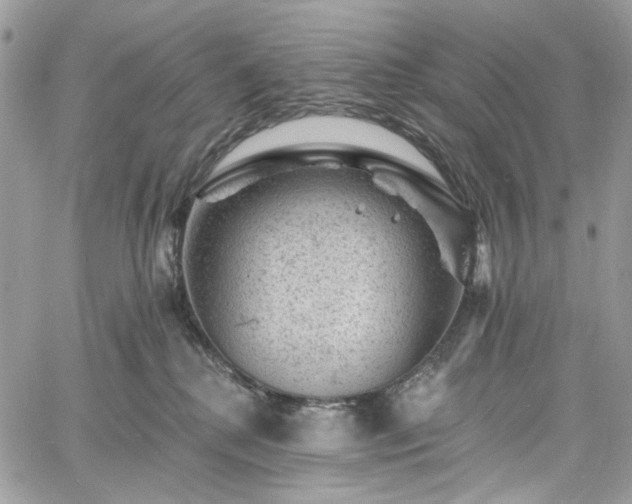 X0000060790280200511171316