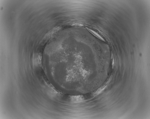 X0000060790281200511171316