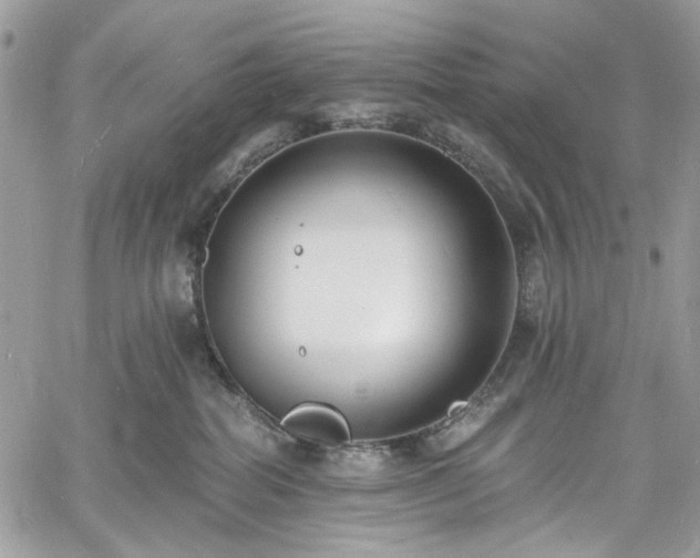 X0000060790282200511171316