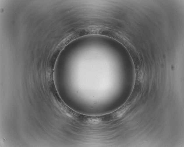 X0000060790283200511171316