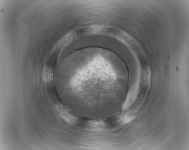 X0000060790284200511171316