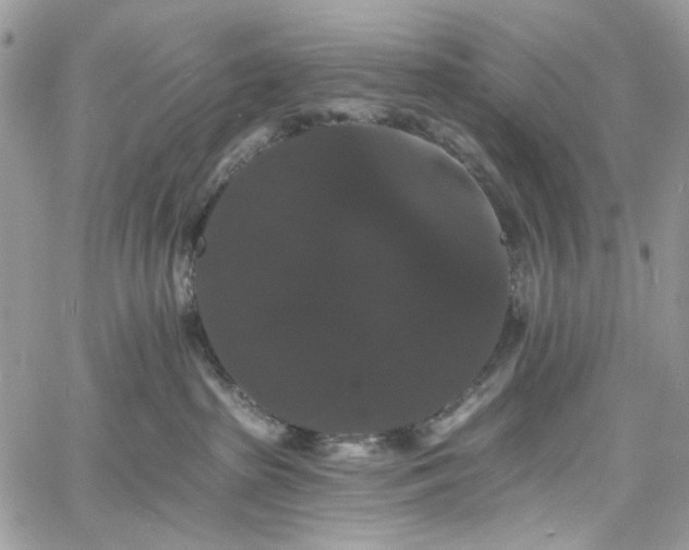 X0000060790285200511171316