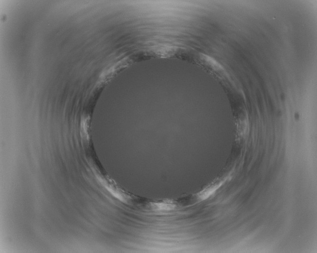 X0000060790286200511171316