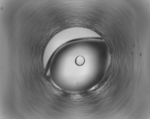 X0000060790287200511171316