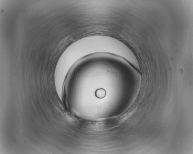 X0000060790288200511171316