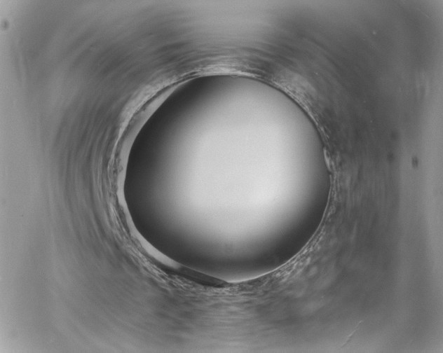 X0000060790289200511171315