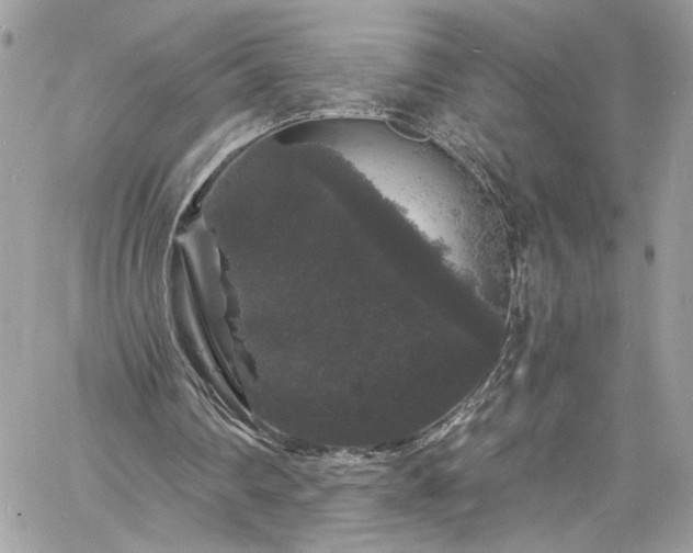 X0000060790290200511171315