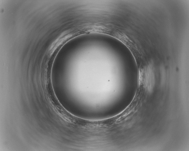 X0000060790291200511171315