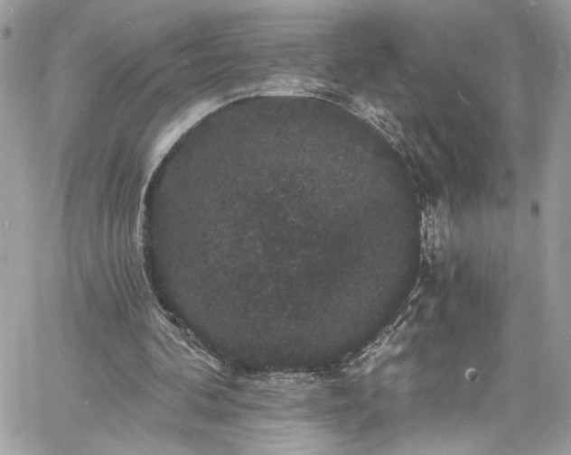 X0000060790292200511171315