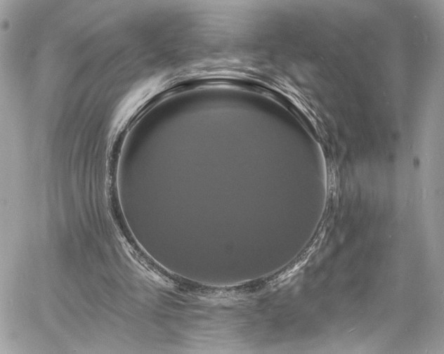 X0000060790293200511171315