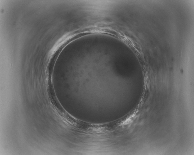 X0000060790295200511171315