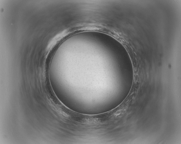 X0000060790296200511171315