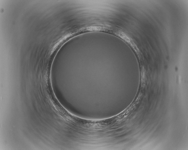 X0000060790297200511171315