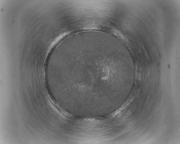 X0000060790298200511171315