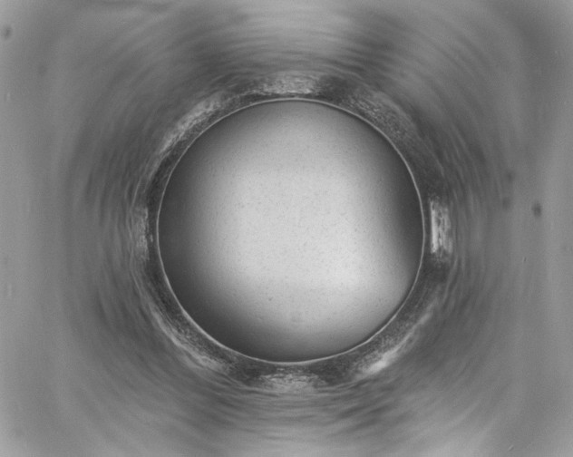 X0000060790300200511171315