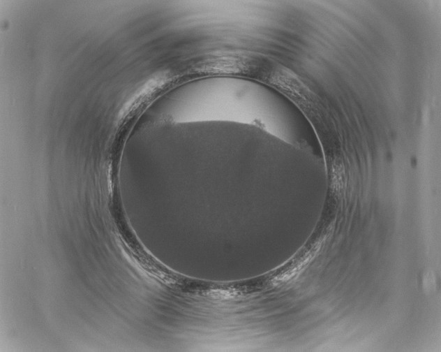 X0000060790302200511171315