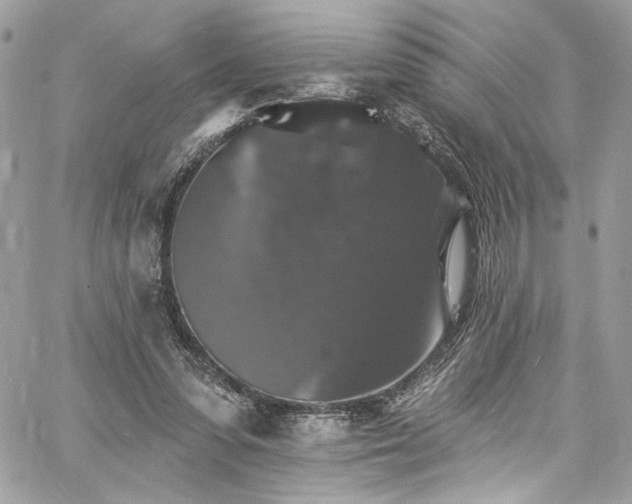 X0000060790303200511171315