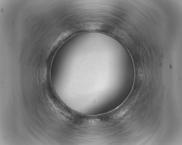 X0000060790304200511171315