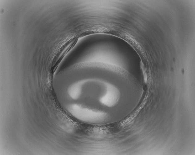 X0000060790305200511171315