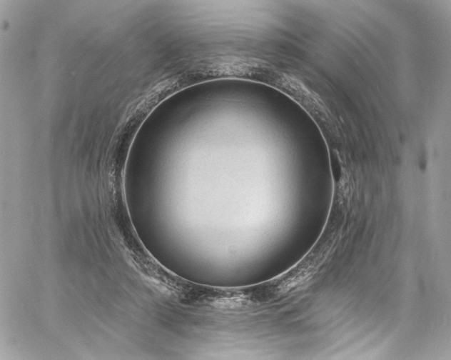 X0000060790306200511171315