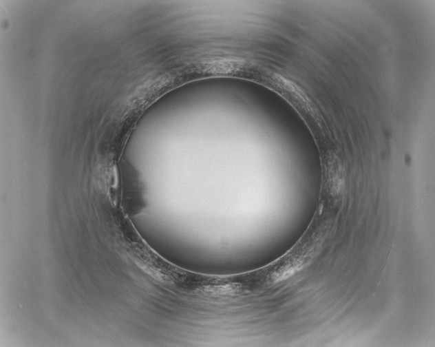 X0000060790307200511171315