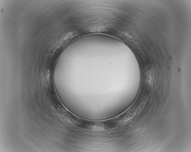 X0000060790308200511171315