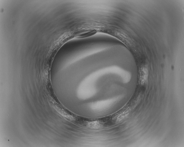 X0000060790309200511171315