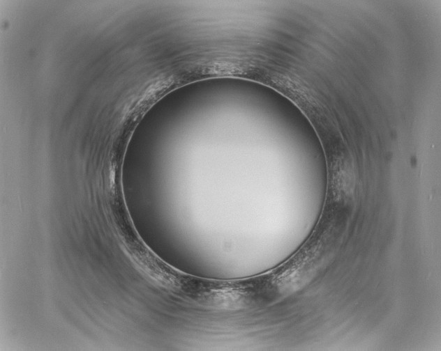 X0000060790310200511171315