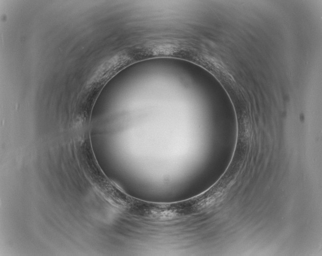 X0000060790311200511171315