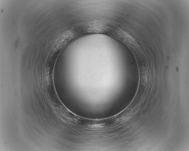 X0000060790312200511171315