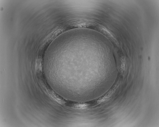 X0000060790313200511171315