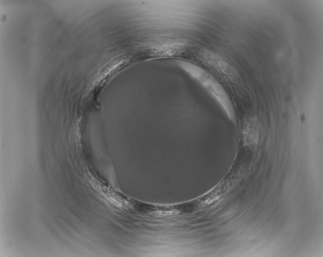 X0000060790314200511171315