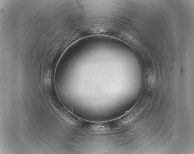 X0000060790315200511171315