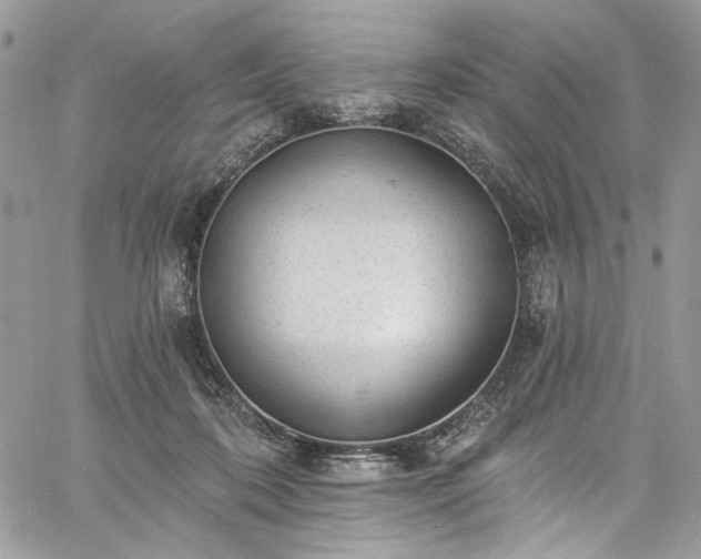 X0000060790316200511171315