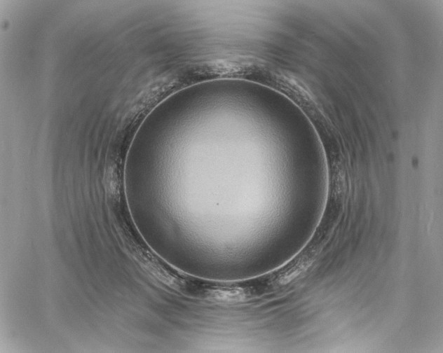 X0000060790317200511171315