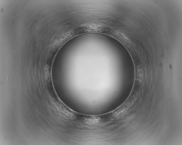 X0000060790318200511171315