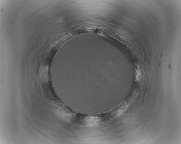 X0000060790319200511171315