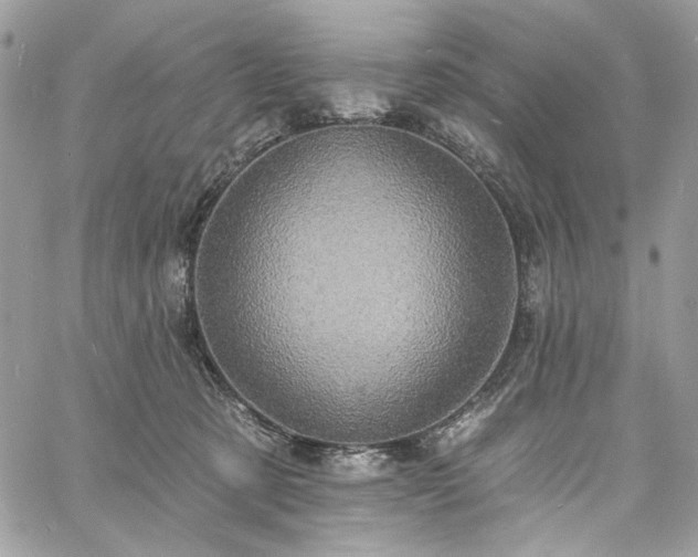 X0000060790321200511171315