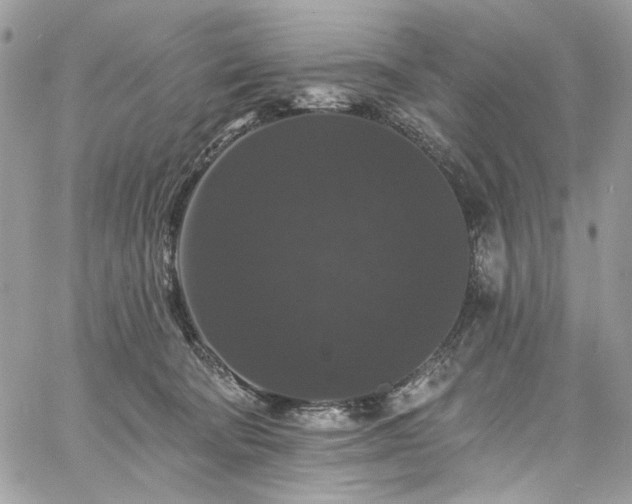 X0000060790322200511171315