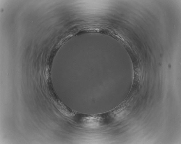 X0000060790323200511171315