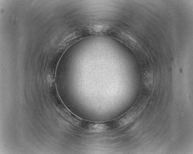 X0000060790324200511171315