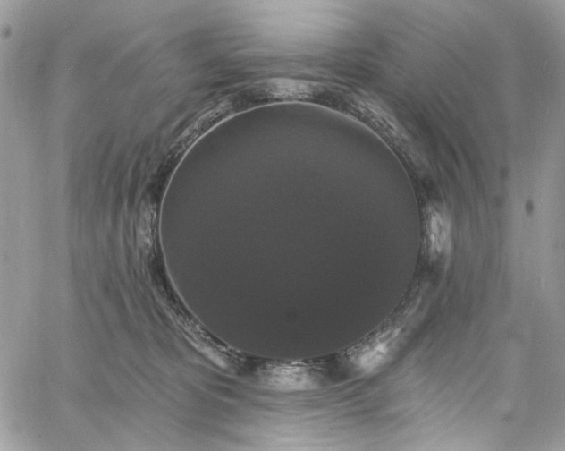 X0000060790325200511171315