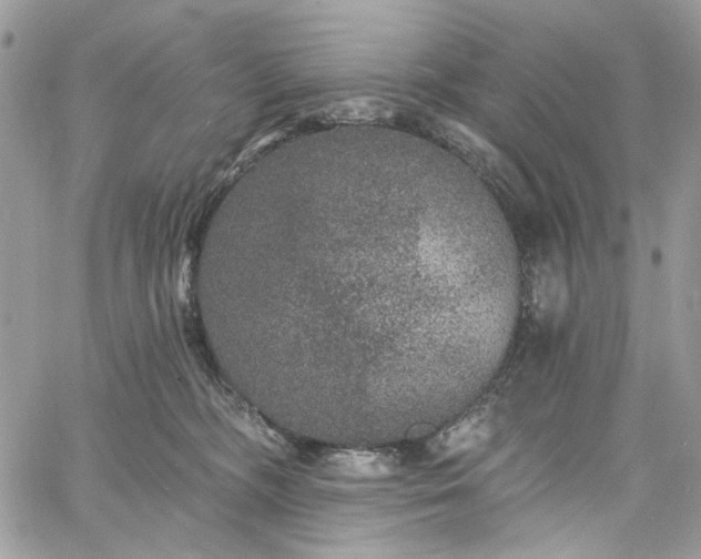 X0000060790326200511171315