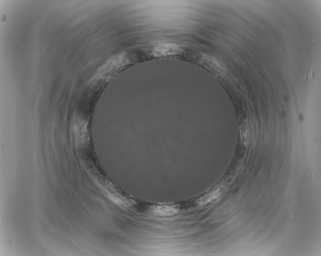 X0000060790327200511171314