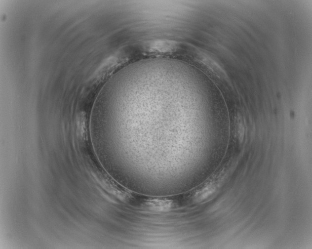 X0000060790328200511171314