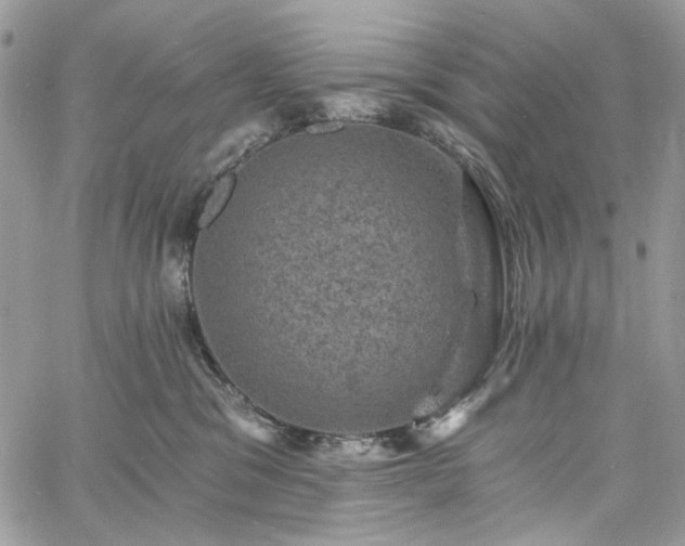 X0000060790329200511171314