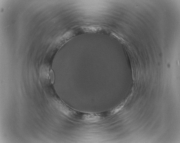 X0000060790331200511171314