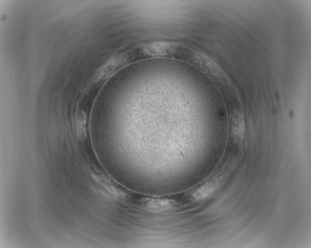 X0000060790332200511171314