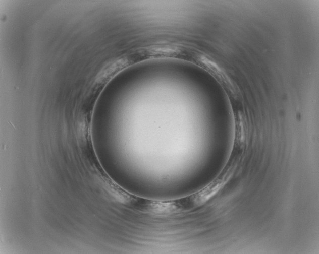 X0000060790333200511171314