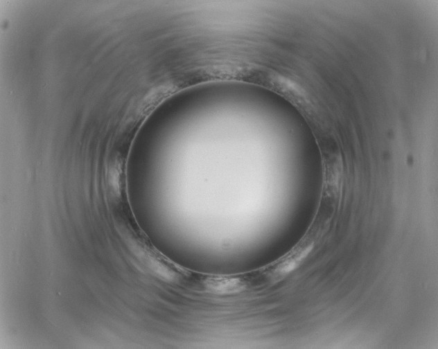 X0000060790334200511171314